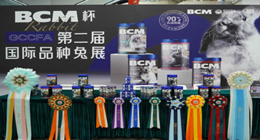 图层 1.jpg