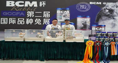 图层 8.jpg