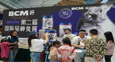 图层 9.jpg