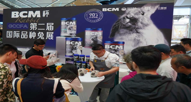 图层 10.jpg