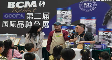 图层 12.jpg