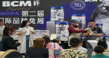 图层 13.jpg