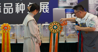 图层 14.jpg